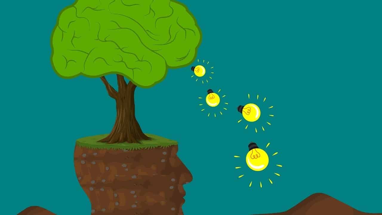 Is SNAP and EBT the Same Thing?